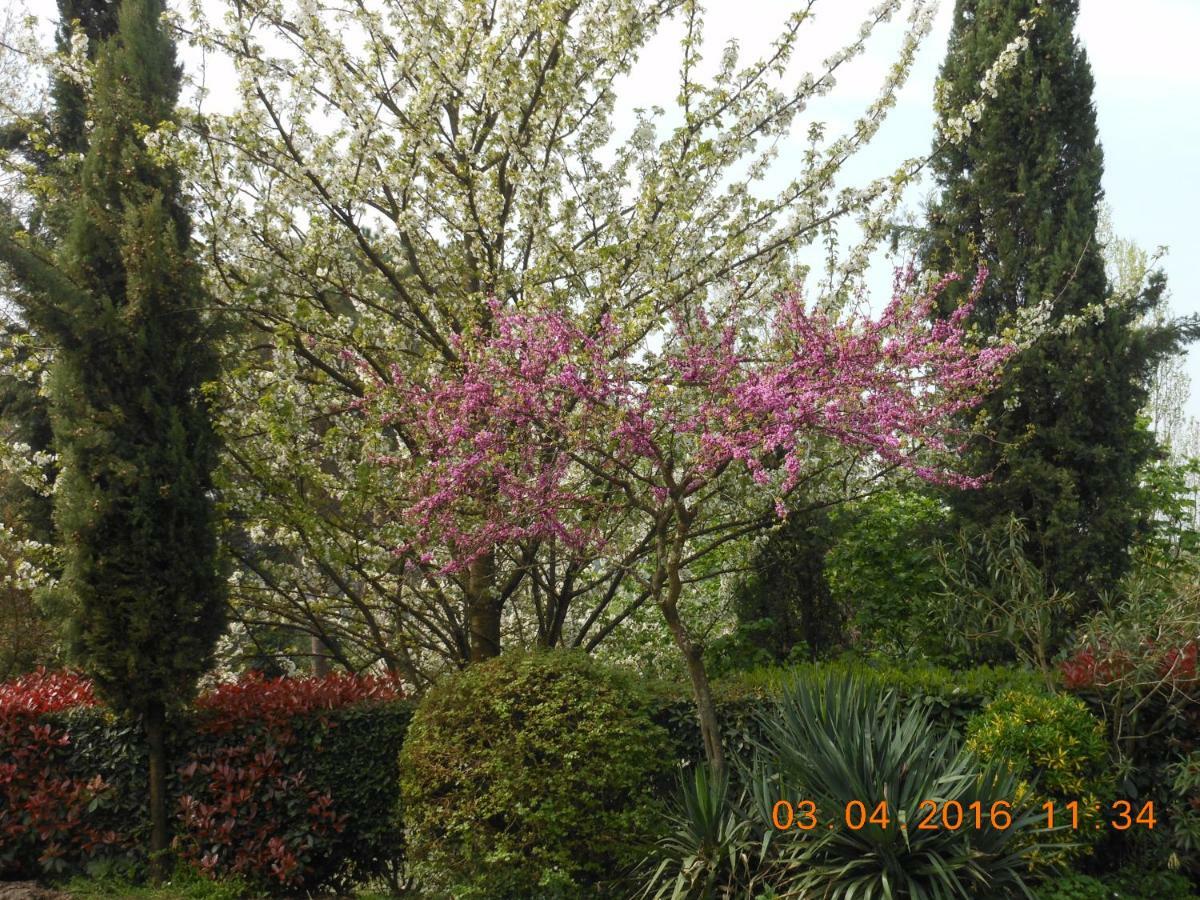 Il Fienile Del Colle Villa Pescia Buitenkant foto