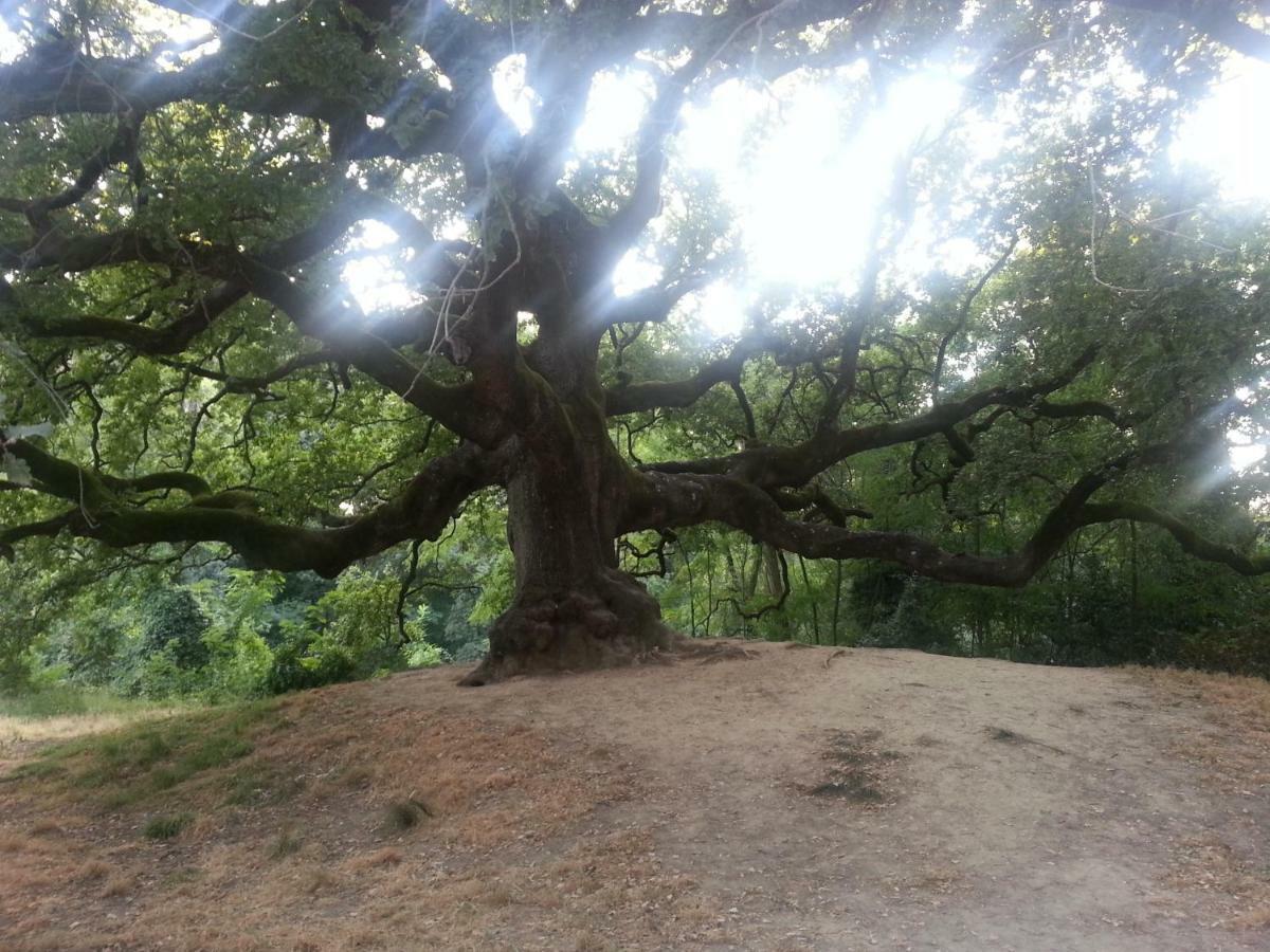 Il Fienile Del Colle Villa Pescia Buitenkant foto